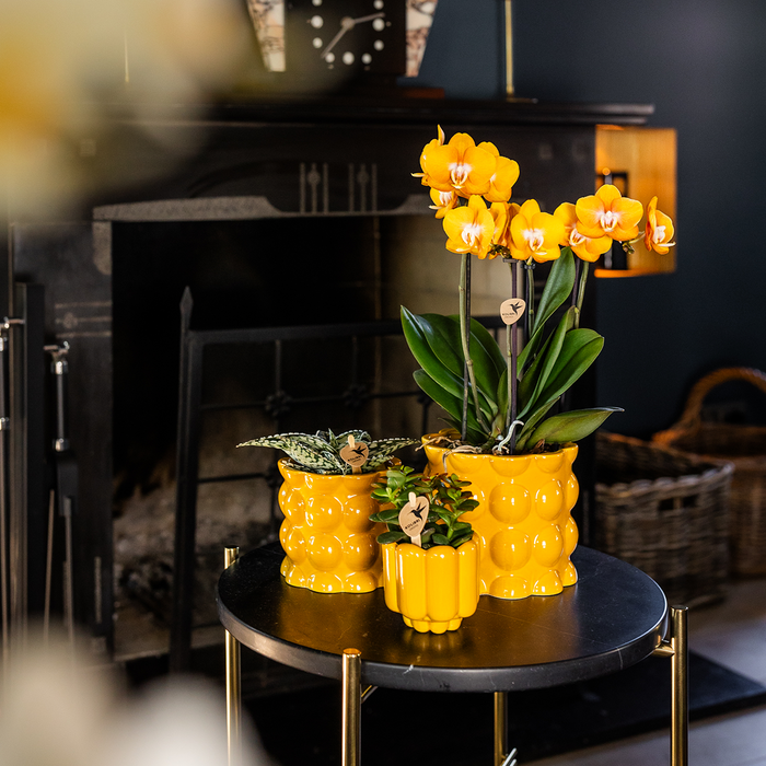 Kolibri Home | Retro Shine sierpot - Yellow - Ø9cm