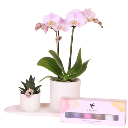 Kolibri Company | Creatives Gift Set | Pink Portugal Orchid + DIY Painting Kit – incl. decorative pots, paint, brushes & tray