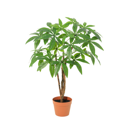 Sztuczna roślina Pachira Aquatica - ↕85cm