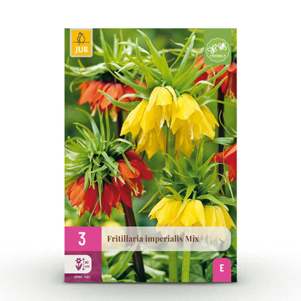 Bulbes de fritillaires impériales (mélange jaune et orange) - Lot de 3 - Calibre 18/20 - Format XXL