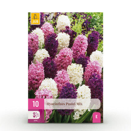 Flower Bulbs - Hyacinth Pastel Mix - Various Pastel Colors - 10 pieces - Bulb Size 14/15 - XXL Pack
