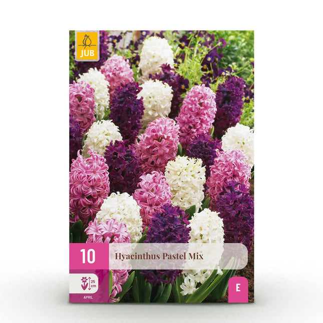 Blumenzwiebeln – Hyazinthe Pastellmix – Verschiedene Pastellfarben – 10 Stück – Zwiebelgröße 14/15 – XXL-Packung