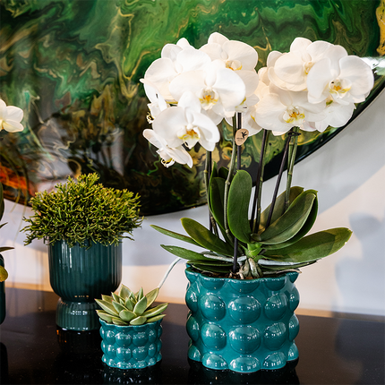 Kolibri Home | Cotton Shine decorative pot - Green - Ø12cm