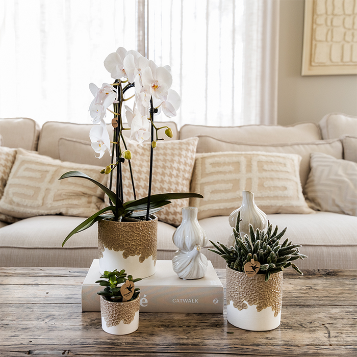 Kolibri Home | Bloom sierpot - Sand - Ø9cm