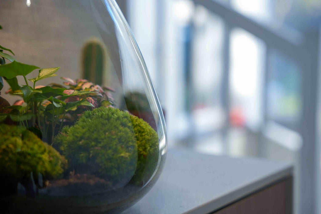 'LOVE MOM' terrarium Sam + gegraveerde kurk met licht - Fles terrarium DIY kit - Ø24.5cm - ↕30cm - Moederdag