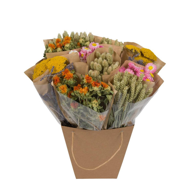 Flores secas - Mezcla monofloral seca - Holandés - ↕50cm
