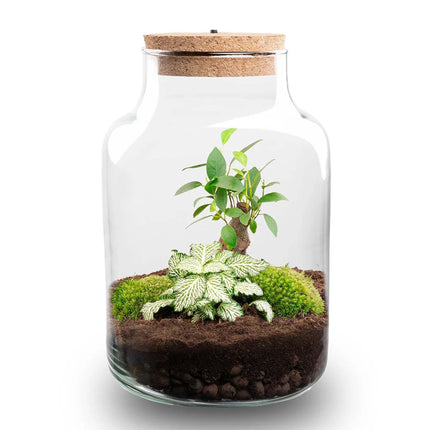 Terrarium pour plantes - Little Milky + lampe LED ↑ 25 cm
