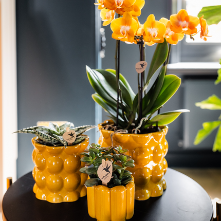 Kolibri Home | Retro Shine sierpot - Yellow - Ø9cm