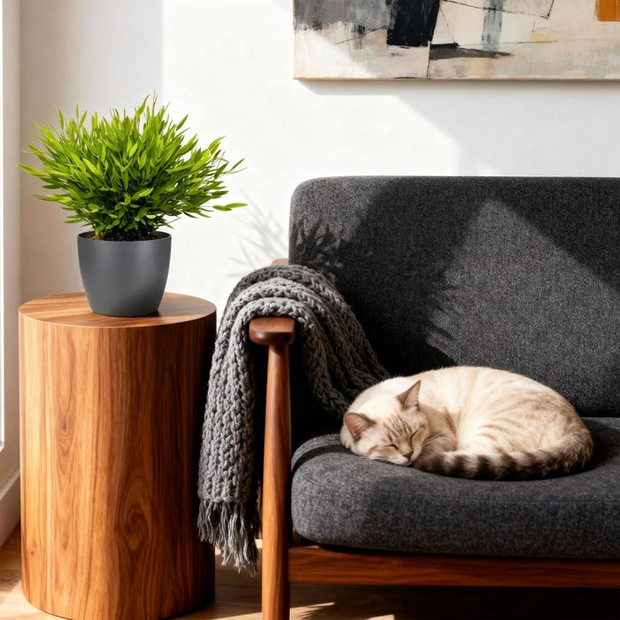 Bamusa Pogonatherum Monica - Bamboegras - met grijze plantenpotten - ↕20cm - Ø12cm - 2x