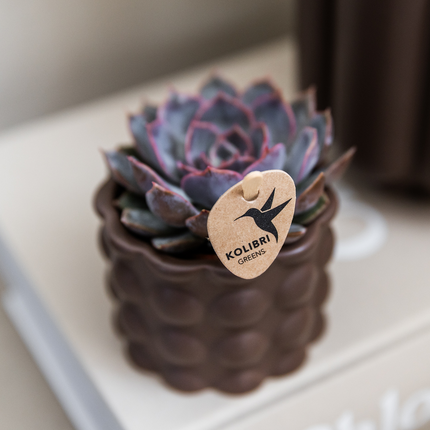 Kolibri Home | Doniczka dekoracyjna bawełniana - Brązowa - Ø6 cm