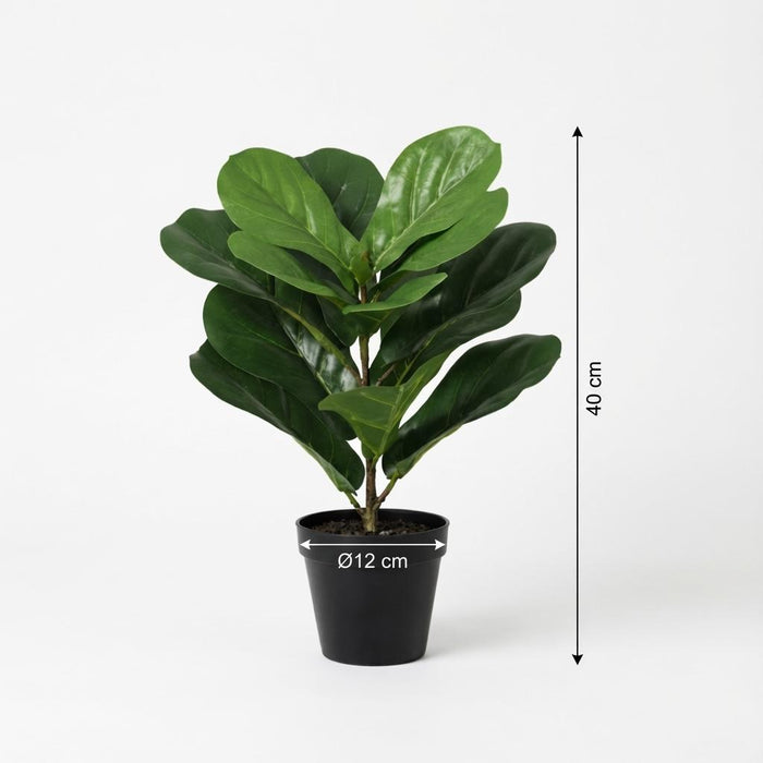 Kunstplant Ficus lyrata - ↕40cm