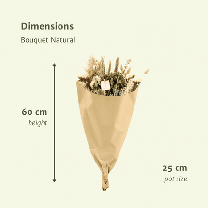 Trockenblumen-Feldstrauß Natur - Ø 25 cm - ↕ 60 cm