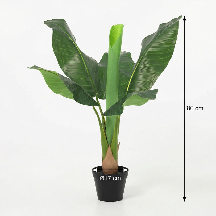 Kunstplant Bananenplant Musa - ↕80cm