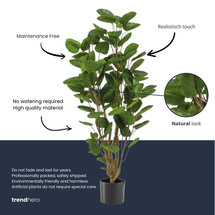 Plante artificielle - Arbre Polyscias - ↕105cm