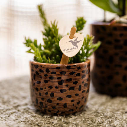 Kolibri Home | Doniczka dekoracyjna w kształcie lamparta - Ø6 cm
