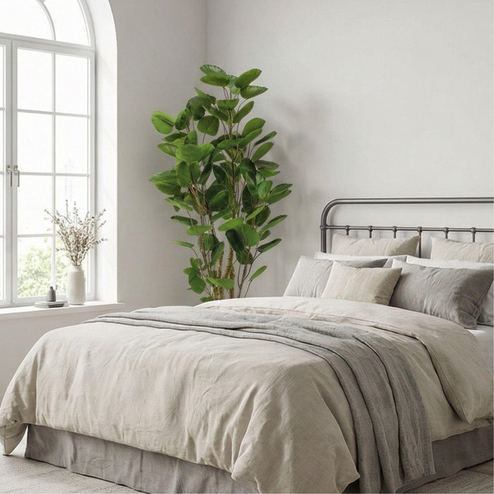 Plante artificielle - Arbre Polyscias - ↕105cm