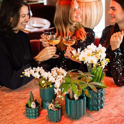 Kolibri Orchids | Combi Deal - 4 Witte Phalaenopsis Orchideeën Botanic Nazare - Ø9 cm