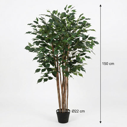 Artificial Ficus Benjamina plant - ↕150cm
