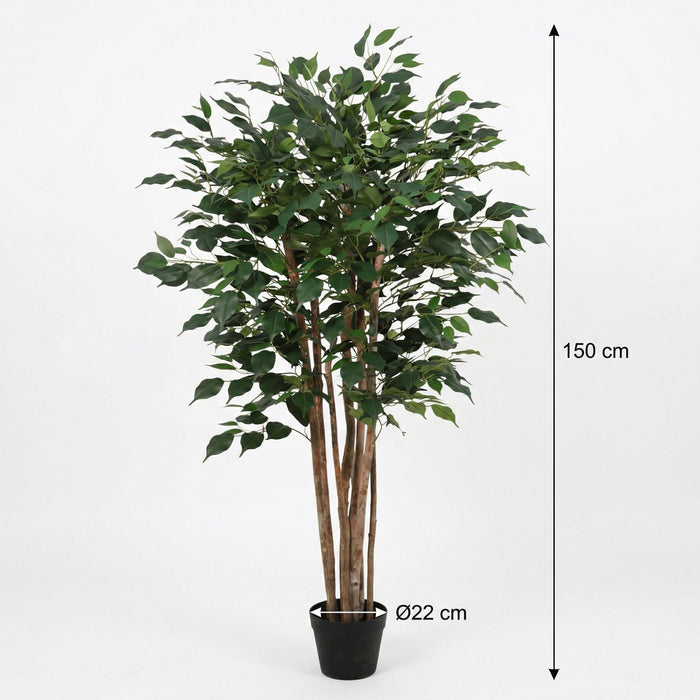 Kunstplant Ficus Benjamina - ↕150cm