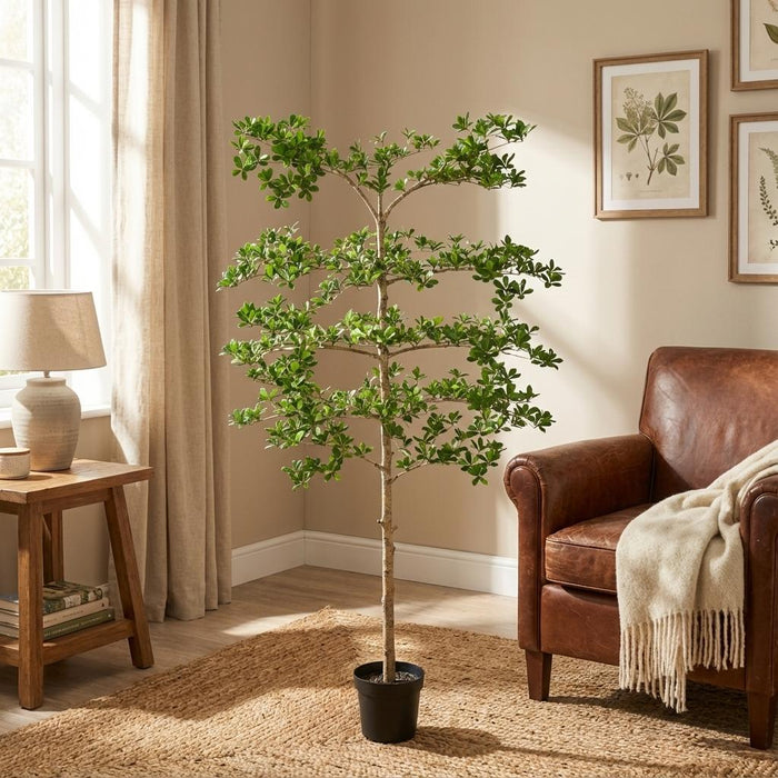 Kunstplant Bucida - ↕200cm