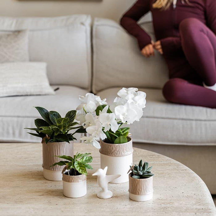 Kolibri Home | Bamboo sierpot - Sand - Ø9cm