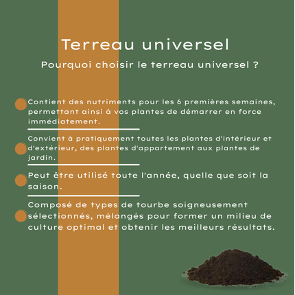Potgrond Universeel 30 Liter – Voor Binnen- en Buitenplanten