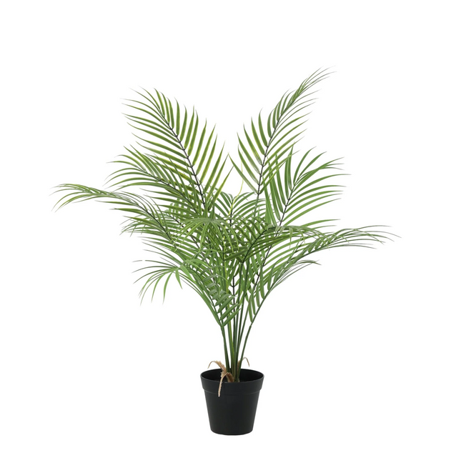 Kunstplant Kentia palm - ↕65cm