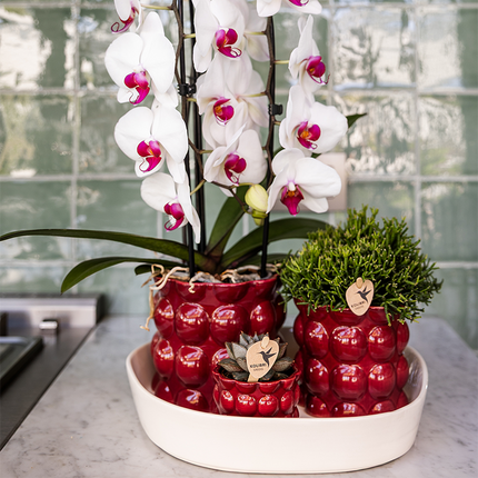 Kolibri Home | Cotton Shine decorative pot - Red - Ø6cm