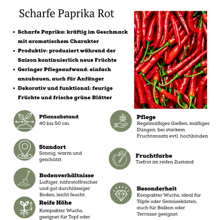 Rode plukgroente mix van 3 planten - Cherry tomaat - Rode snack paprika - Rode hete peper plant - ↕45cm - Ø14cm