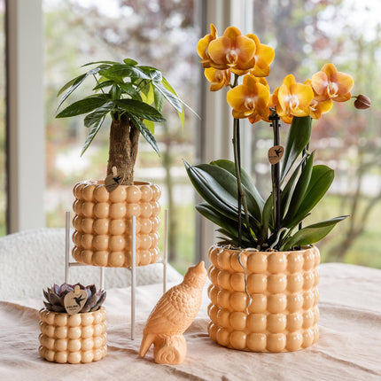 Hummingbird Home | Pflanzenständer – Weißer Metall-Pflanzenständer Ø12cm
