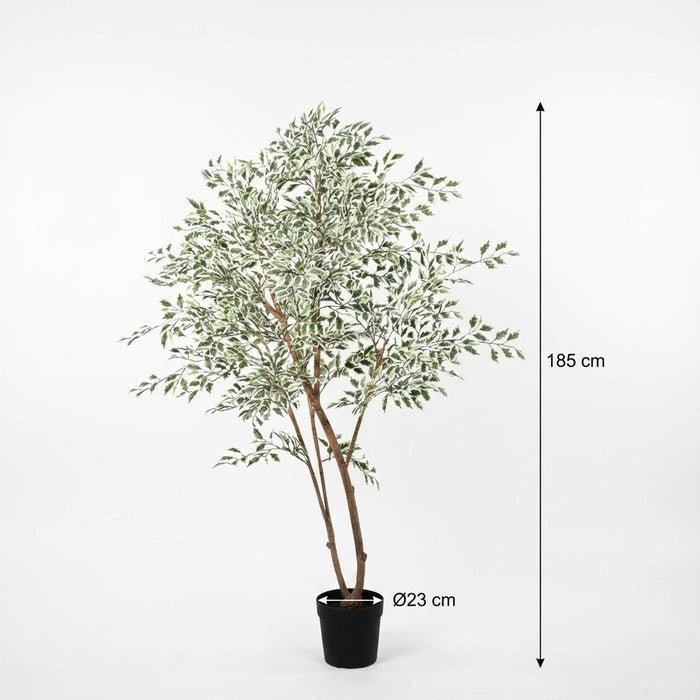 Kunstplant Ficus benjamina variegata - ↕185cm