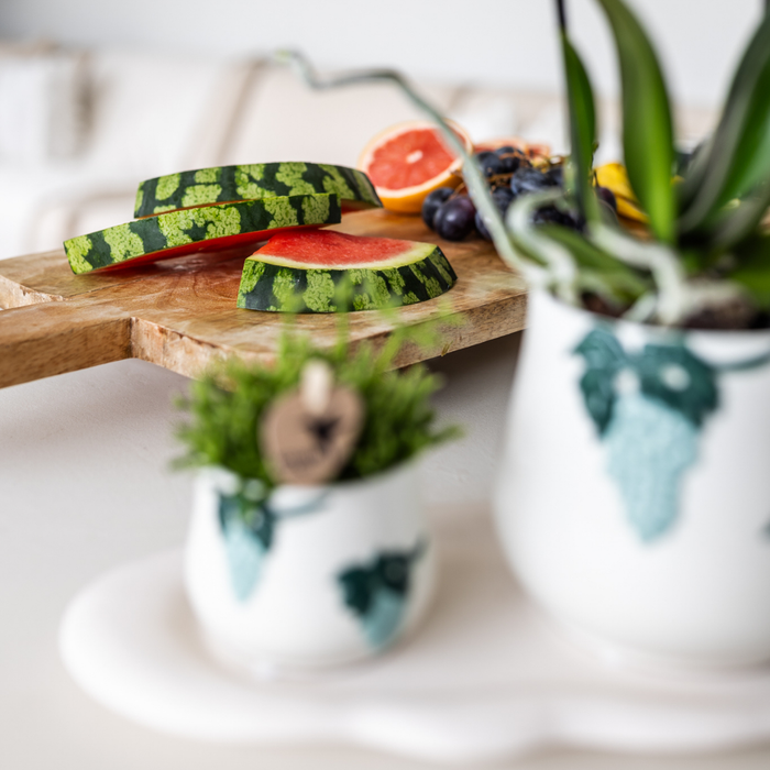 Set van witte orchidee en Succulent in Grape sierpot blauw op wit dienblad