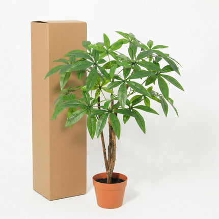 Sztuczna roślina Pachira Aquatica - ↕85cm