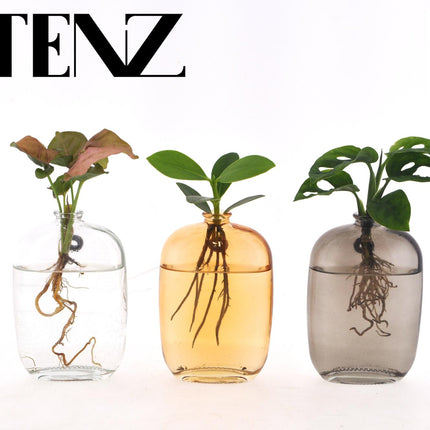 Houseplant Mix in Santiago Glass Wall Art - 3 pieces - Ø7cm - ↕10cm