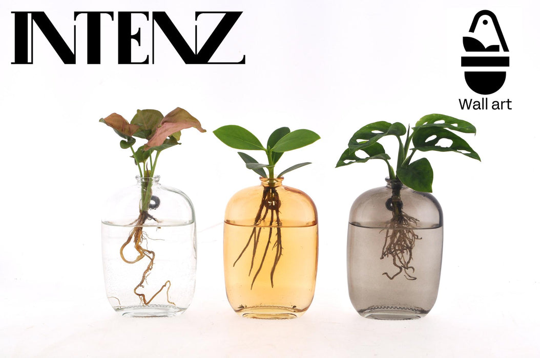Décoration murale en verre Santiago - Mélange de plantes d'intérieur - 3 pièces - Ø7cm - ↕10cm
