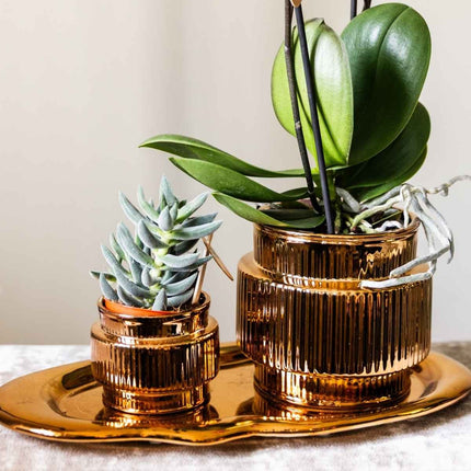 Kolibri Home | Allure Shiny sierpot - Brons - Ø6cm