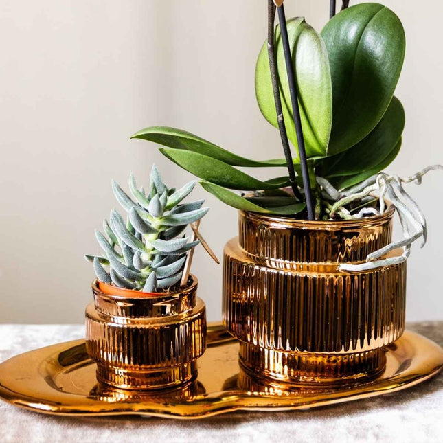 Kolibri Home | Allure Shiny blomkruka - Brons - Ø6cm