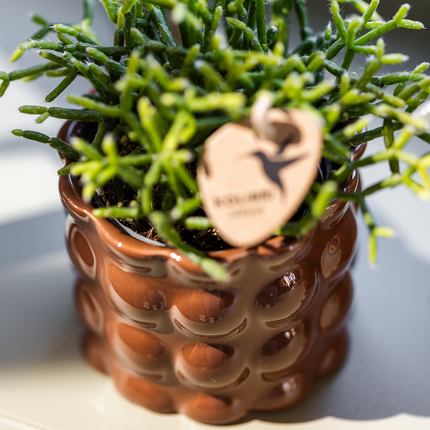 Kolibri Home | Cotton Shine decorative pot - Brown - Ø12cm