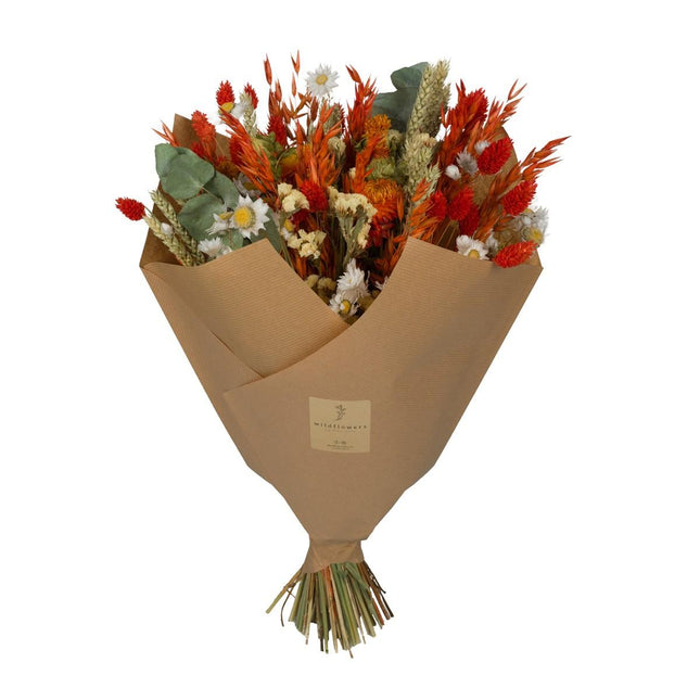 Flores secas - Ramo clásico - Naranja - 4 ramos - ↕60 cm
