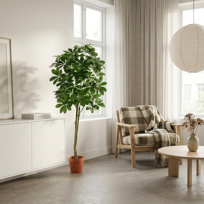 Kunstplant Pachira Aquatica - ↕150cm