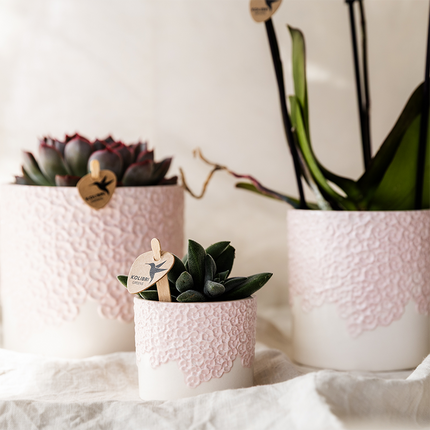 Kolibri Home | Bloom decorative pot - Pink - Ø12cm