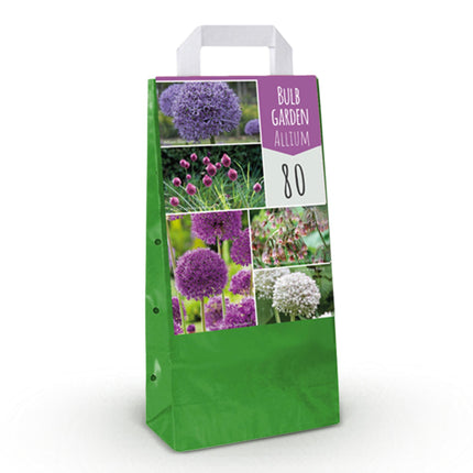 Flower Bulbs - Bulb Garden Allium mix - Various Colors - 80 pieces - Gift Packaging