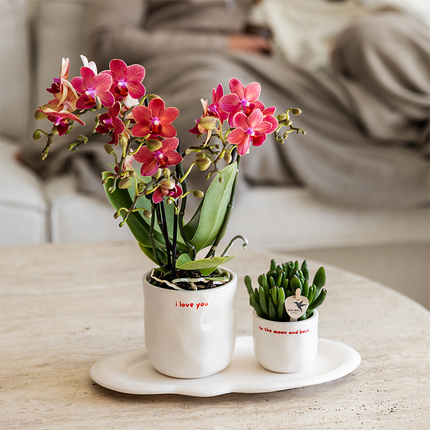 Kolibri Home | Doniczka dekoracyjna "Kocham Cię" - Ø9 cm
