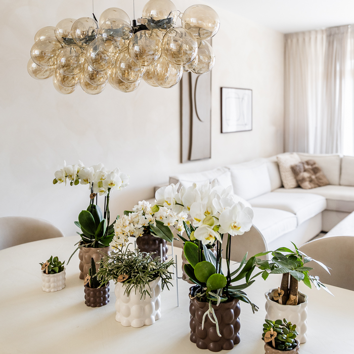 Kolibri Home | Cotton sierpot - White - Ø6cm