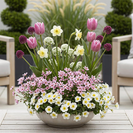 Bulbes de fleurs - Assortiment de bulbes roses pour jardin - Variétés variées - Couleur rose - 125 pièces - Emballage cadeau