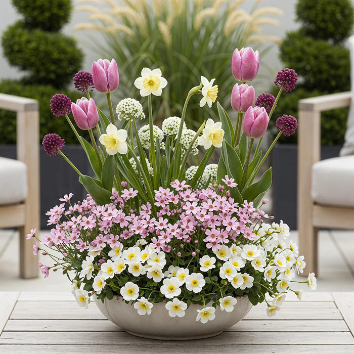 Bloembollen - Bulb Garden Pink mix - Diversen soorten - Kleur Roze - 125 stuks - Gift Verpakking