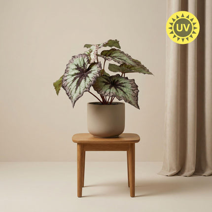 Artificial Begonia plant in pot - ↕26 cm
