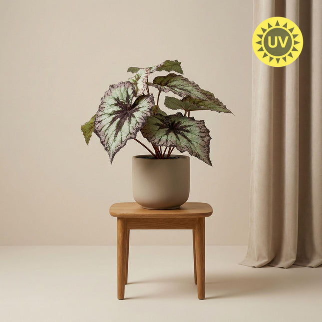 Kunstplant Begonia in pot - ↕26 cm