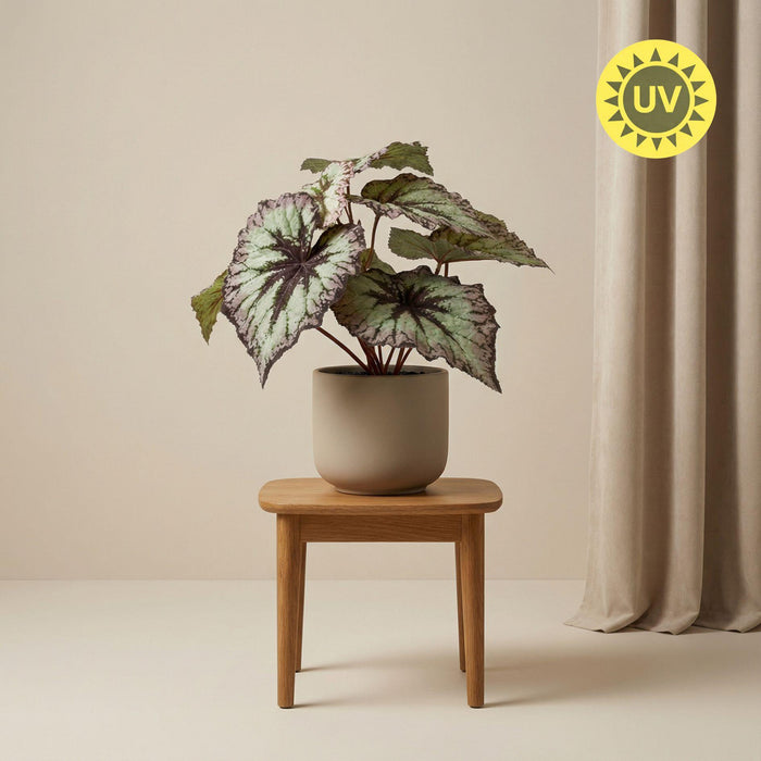 Begonia 26 cm - Kunstplant in pot – UV - Artificial plant