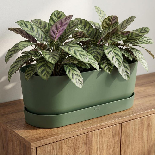 Jardinera para balcón Elho Greenville Easy Balcony D25cm - Verde hoja - Maceta